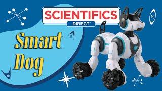 Smart Dog - Robotic RC Dog in action! | Scientifics Direct