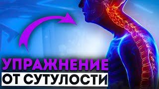 СУТУЛОСТЬ - исправьте пока НЕ ПОЗДНО | 4 простых упражнения для грудного отдела позвоночника