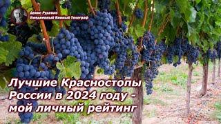 Лучшие Красностопы России в 2024 году - мой личный рейтинг