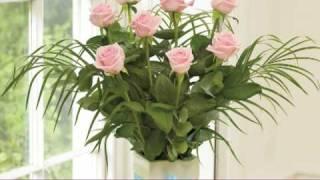 Wickford Florist Interflora