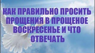 ПРОЩЕНОЕ ВОСКРЕСЕНЬЕ: ЧТО НАДО ГОВОРИТЬ И КАК ОТВЕЧАТЬ/САКРАЛЬНЫЙ СМЫСЛ ПРАЗДНИКА И СЛОВ ПРОЩЕНИЯ.