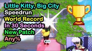 Little Kitty, Big City World Record Any% Speedrun in 30.383 WR (New Patch) 