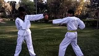 Warriors Academy (pawan diwakar) taekwondo breaking skill