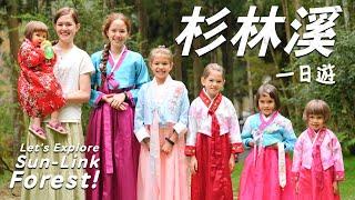 跟7仙女一起探索台灣山上神秘的森林 Join 7 Maidens in Exploring Taiwan's High-Mountain Forest (Sun-Link Forest)