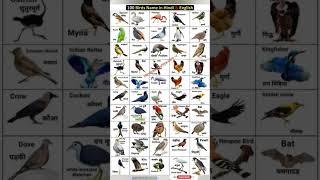 100 birds name in images with English name #gk #gkgs #study #important short video vviteach study