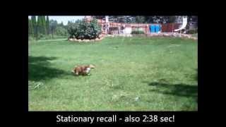Testing the Transfer of Value - Aug 4, 2012