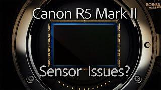 Canon R5 Mark II - Sensor Issues? Dynamic Range Loss? Does it matter?