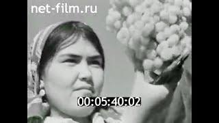 1980г. совхоз Фахробод Курган- Тюбинская обл Таджикистан