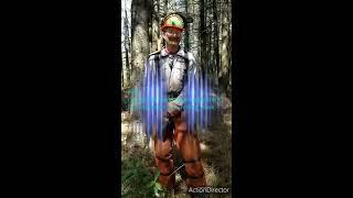 PPE (personal protective equipment) for tree felling and bucking with chainsaws