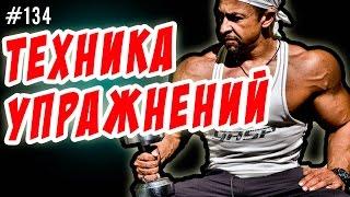 Техника упражнений. Общие правила в бодибилдинге