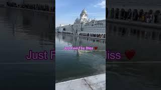 Can You Feel It ? | RS 1313 Blessed Family | Ramneek Singh 1313