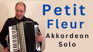 Petite Fleur - played by Theo Degler (Accordion)