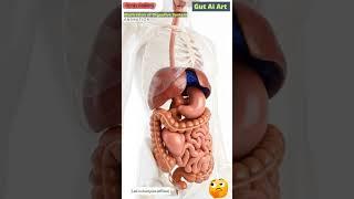 Digestive System Animation | Gut AI Art | 226
