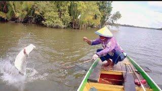 tidak di sangka dapat barabundi kumpul di muara