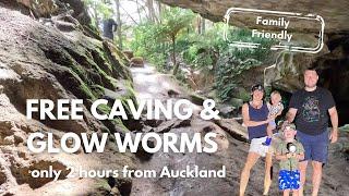 Free Family-Friendly Glow Worm Caves Near Auckland  | 2-Hour Drive from the City