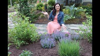 Planning & Planting a New Flower Bed with Creekside Nursery