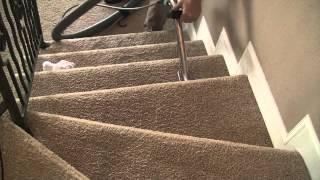 12 Step Carpet Cleaning Process