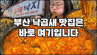 낙곱새 먹방, 55년 전통 부산 낙곱새 맛집, 낙곱새 맛집 추천, 범일동 원조할매낙지 Spicy Octopus, Pork Intestines, Shrimp Stew MUKBANG