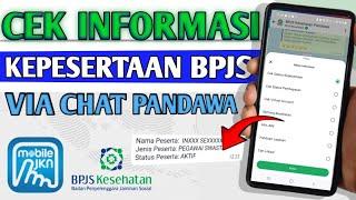 Cara Cek Status BPJS Kesehatan Aktif atau Tidak via Pandawa 2024