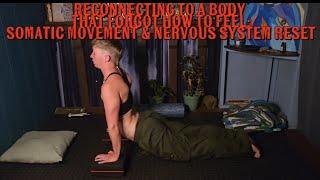 Reconnecting to a Body That Forgot How to Feel | Somatic Movement & Nervous System Reset