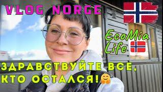 Влог с Большой Благодарностью ко Всем Ушедшим!/ Nº12 - 10.2024/EcoMia Life