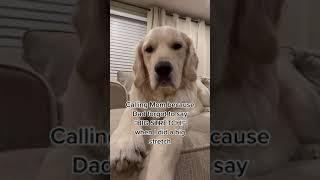 Big Stretch