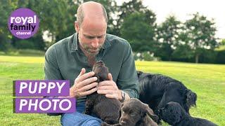 Royals Celebrate Prince William's 43rd Birthday with Unseen Photos