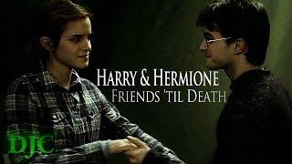 Harry & Hermione-Friends 'til Death