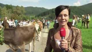 Steirische Landwirtschaft - Milchfest