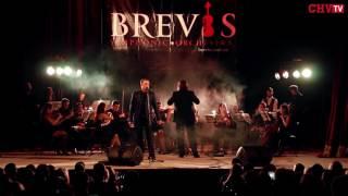 Brevis   Englishman In New York Чернівці 2016