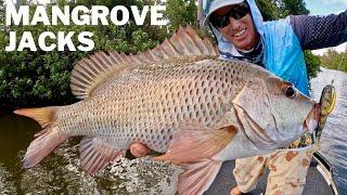 Mangrove Jack Fishing THE FIRST JACK BURNERS!