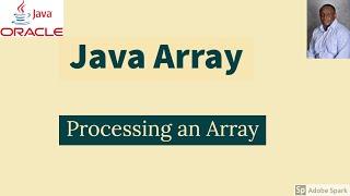 Java Array - Processing Array Examples