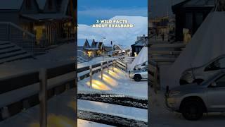 Cats are BANNED ‍⬛ on this arctic island | WILD FACTS about #svalbard