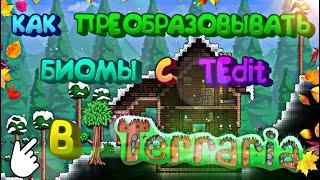 Как избавиться от порчи или как преобразовывать биомы в Terraria с помощью TEdit