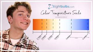 Our Guide to Color Temperature - Explained in Under 2 Minutes! | LightBulbs.com