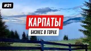 Домик в Карпатах: разбор бизнеса