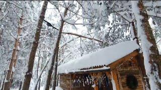 Дърво падна върху къщичката#28 декември 2024 г.#snow#зима#сняг#winter#cabinhouse#сглобяемакъща# log