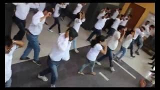 iProgrammer's Flash Mob 2016 Pune