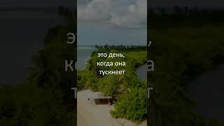 Время пришло! Действуй сейчас, пока желание горит в твоём сердце