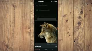 How to spoiler an image on Discord Mobile,How to Create Spoiler Images on Discord Mobile