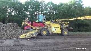 sugar beet loading with a ROPA EURO MAUS 4 INTO THE NETHERLANDS