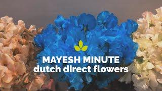 Mayesh Minute: Dutch Direct Flowers May 12