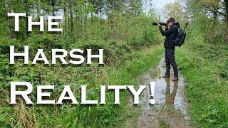 The HARSH Reality of wildlife photography in the UK