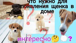 что нужно для появления собаки в доме?//Говорящая  Лео мокрый нос 