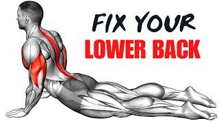 Exercises To Reduce Lower Back Pain || Fitonus