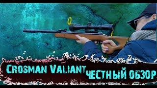 Пневматическая винтовка Crosman Valiant (на что способна)