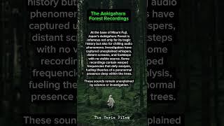 The Aokigahara Forest Recordings #Aokigahara #SuicideForest #Paranormal #UnexplainedAudio #japan