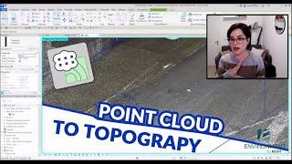 Convert Point Clouds into Smooth Topographies in Revit | Environment for Revit® TUTORIAL