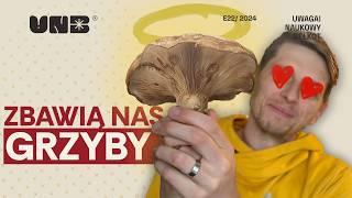 Czy grzyby nas ocalą?