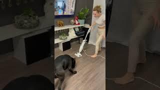 Яйца на полу | Семейные приколы | Тик Ток #Shorts